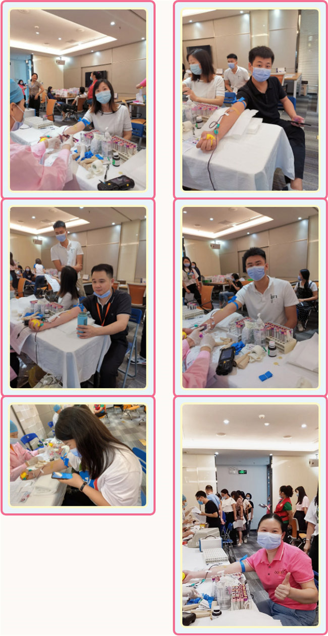 捐獻青春熱血，彩繪人生畫卷&mdash;&mdash;廣東博皓總班委組織了一次&ldquo;捐我熱血，呵護生命&rdquo;的無償獻血公益活動    -3