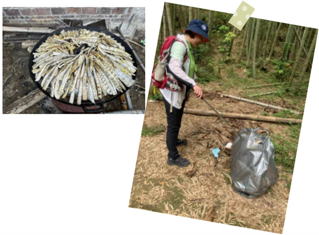 生命和綠色擁抱，人類與生態共存&mdash;&mdash;2023年廣東博皓公益活動   -6