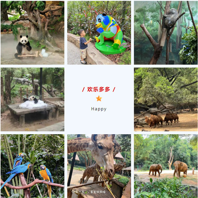 大手牽小手，快樂親子游！廣東博皓2023年親子游活動        -8